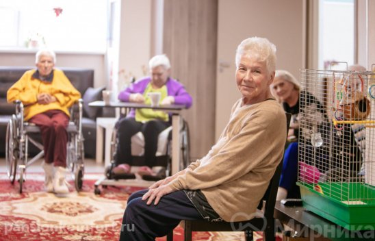 Мирника в Подольске фото 7