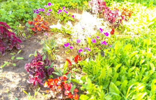 Пансионат "Green Day" в Ногинске фото 5