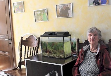 Дом престарелых Новинки фото 3