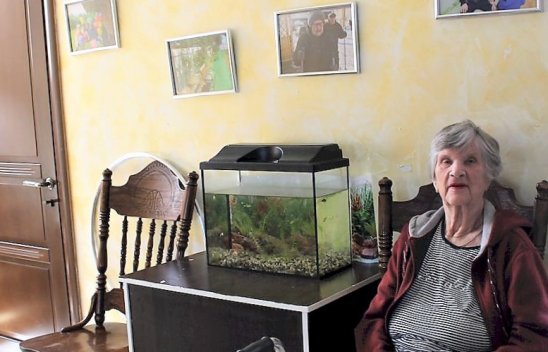 Дом престарелых Новинки фото 3