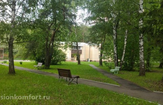 Центр «DOM.STAR» Раменское фото