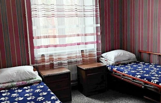 Частный пансионат «Мир» фото 4