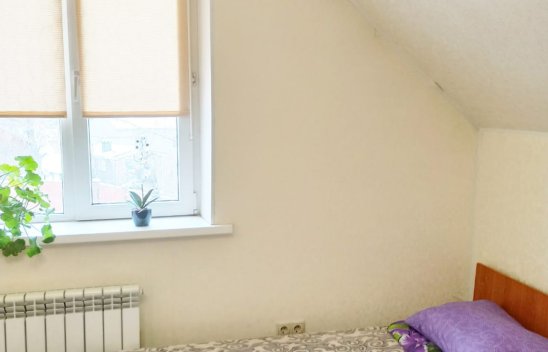 Пансионат «Вера» в Домодедово фото