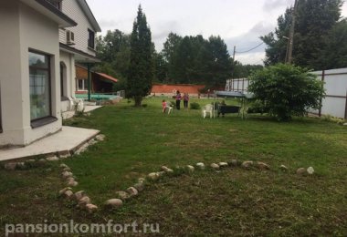Пансионат в Королеве фото 4