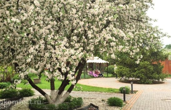 Пансионат «Родник» Королев-Загорянский