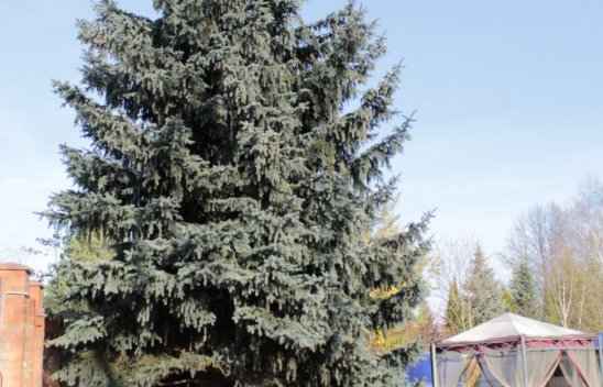 Пансионат Десна