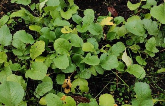 «Дом Жизни» фото 8