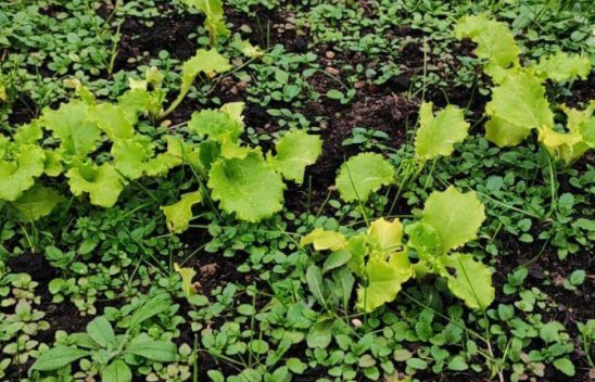 «Дом Жизни» фото 9