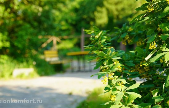 Пансионат для пожилых Река жизни Сгонники фото 8