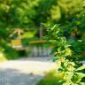 Пансионат для пожилых Река жизни Сгонники фото 8