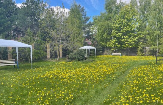 Пансионат «Река жизни» Красногорск фото